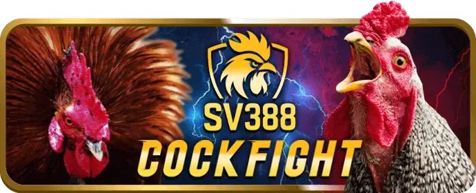 Giấy phép và Bảo mật 55win55